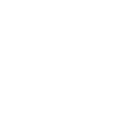 Bring Energy